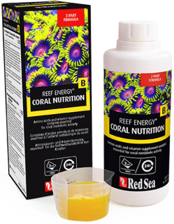 REEF ENERGY B SUPPLEMENT|Amino Acids, Fatty Acids & Vitamins
